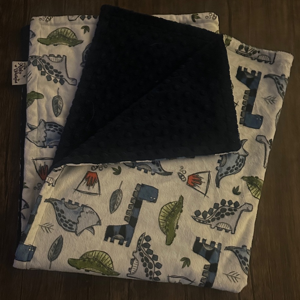 Dinosaur Print Blanket with Blue Lining